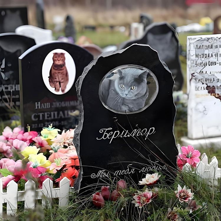 Que opções de personalização elevam as placas memoriais de animais de estimação além dos nomes básicos?