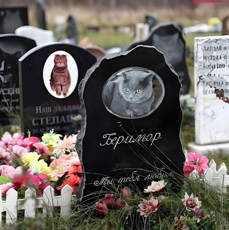 Por que devemos considerar um memorial de animais de estimação?